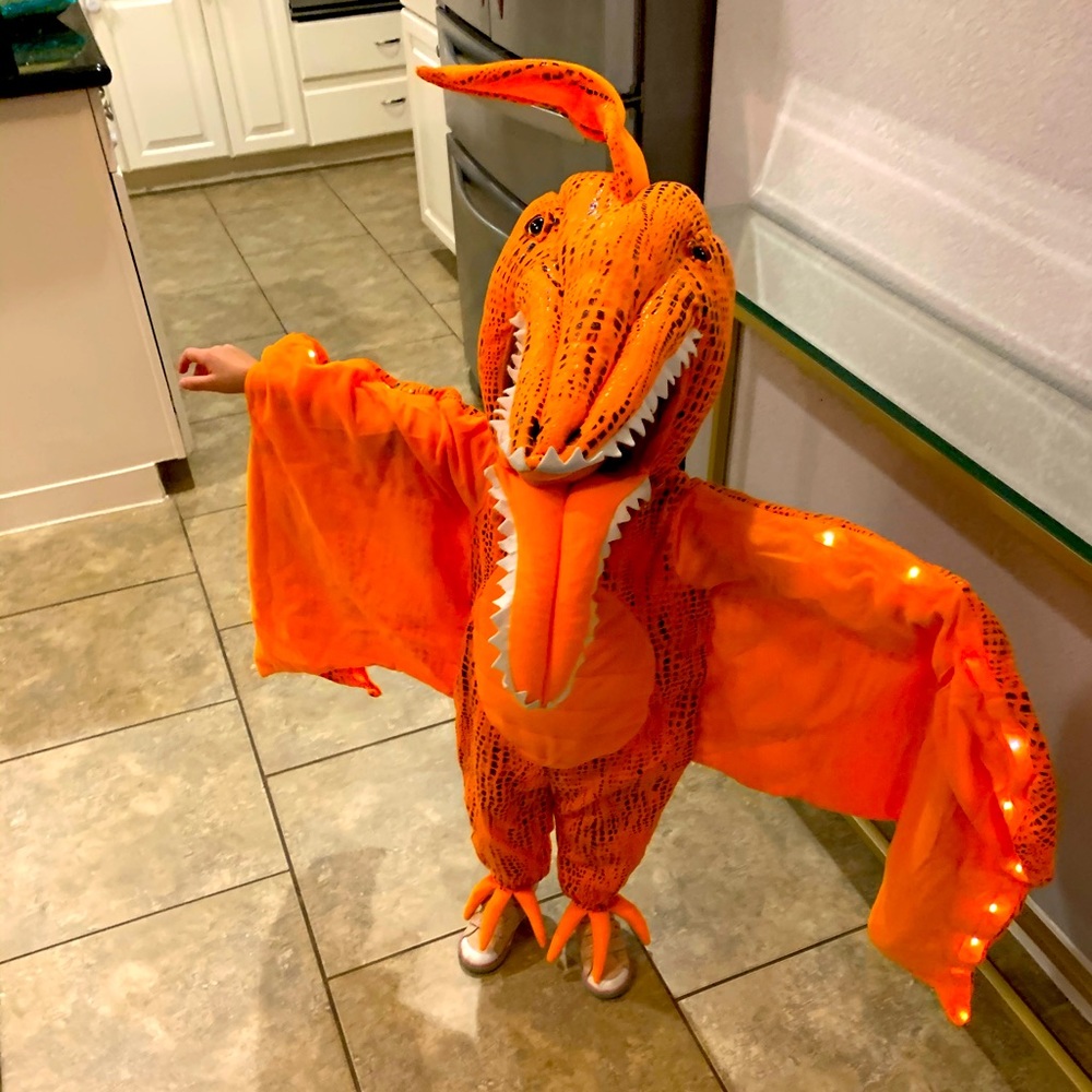Pottery Barn Kids Orange Pterodactyl Costume